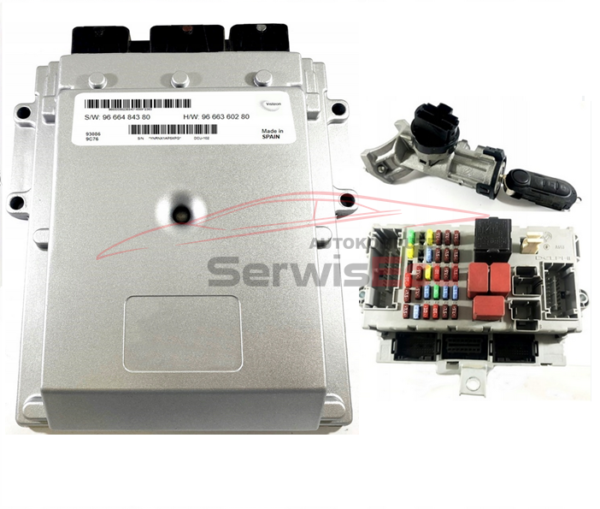 ZESTAW PEUGEOT 2.2 VISTEON 9666484380 9666360280