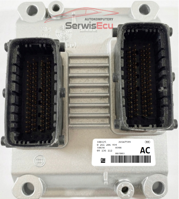 KOMPUTER ECU OPEL 2.6 0261206494 09136112 AC  CZYSTY